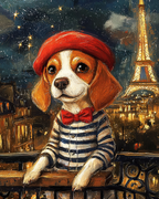 Parisian Dreamer