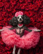 Ballet Supermodel