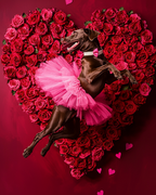 Tutu Rose Valentine