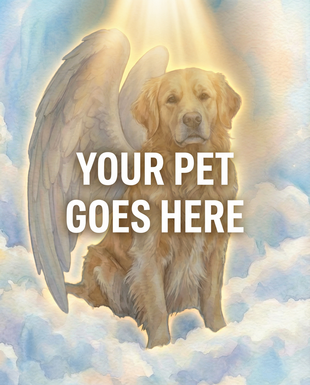 Your Pet Goes Here