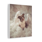 Custom Canvas Print 8x10 (66dbcf52)