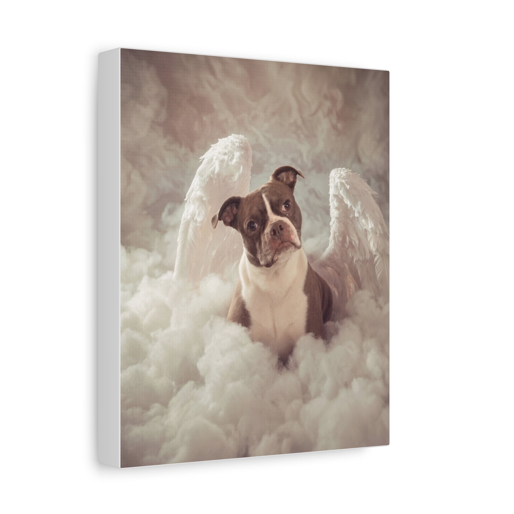 Custom Canvas Print 8x10 (66dbcf52)