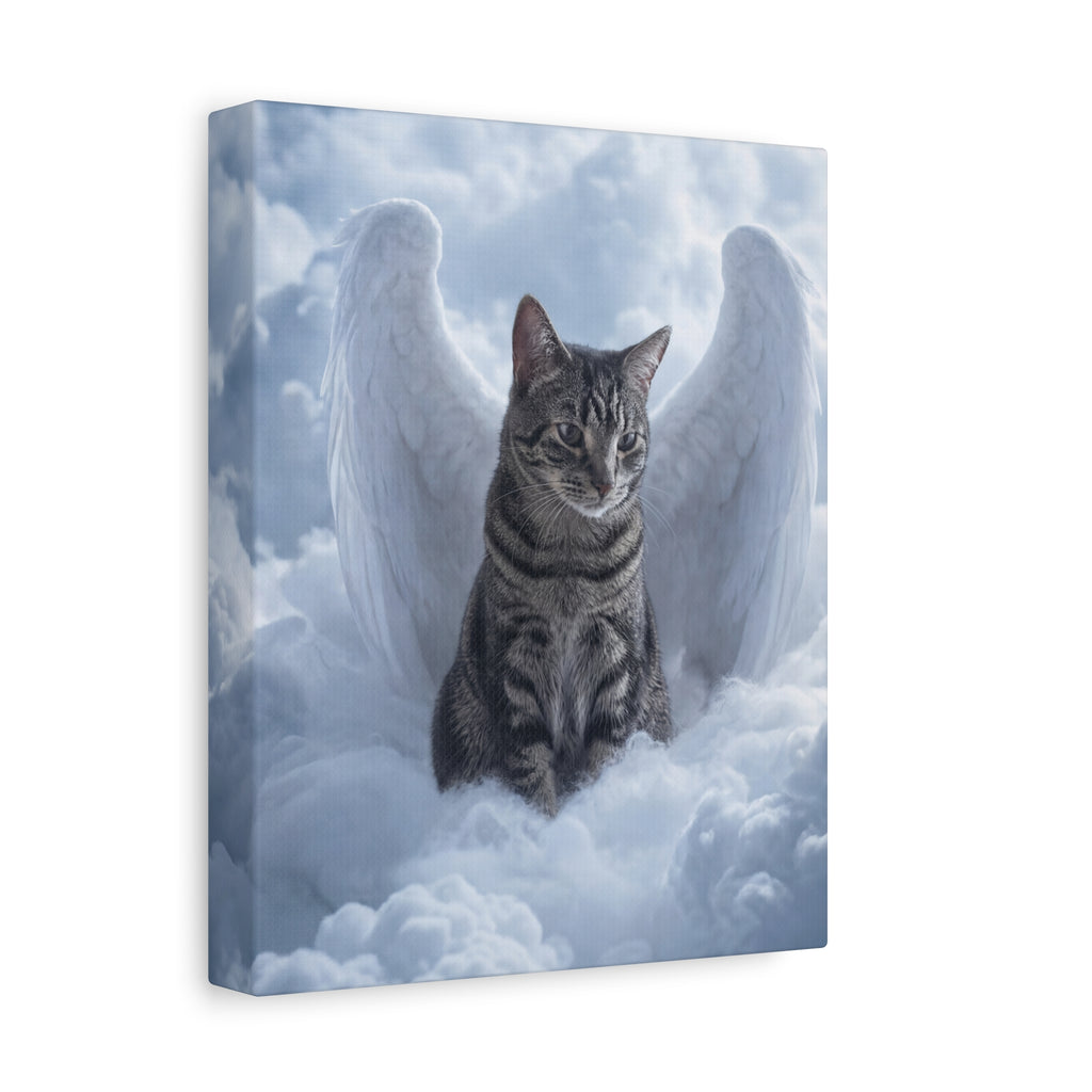 API API Shopify order #1272 (v45677037158502) - Amn Hinkle