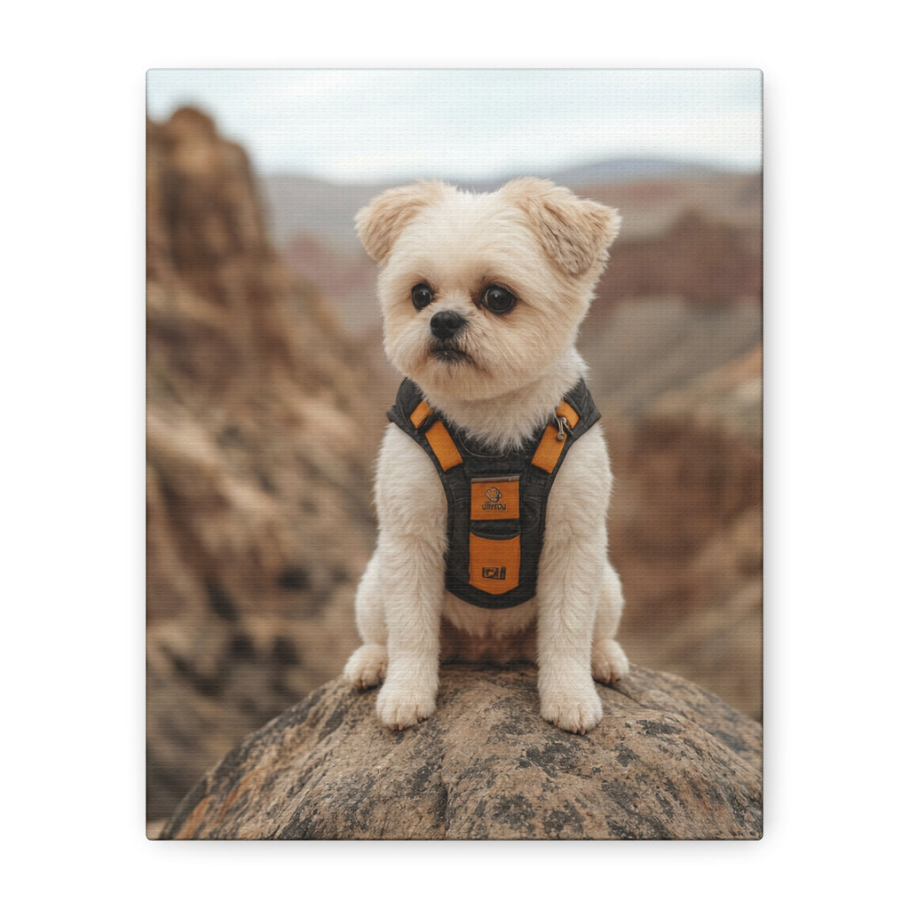 API API Shopify order #1273 (v45695252004966) - Tina Ziehl