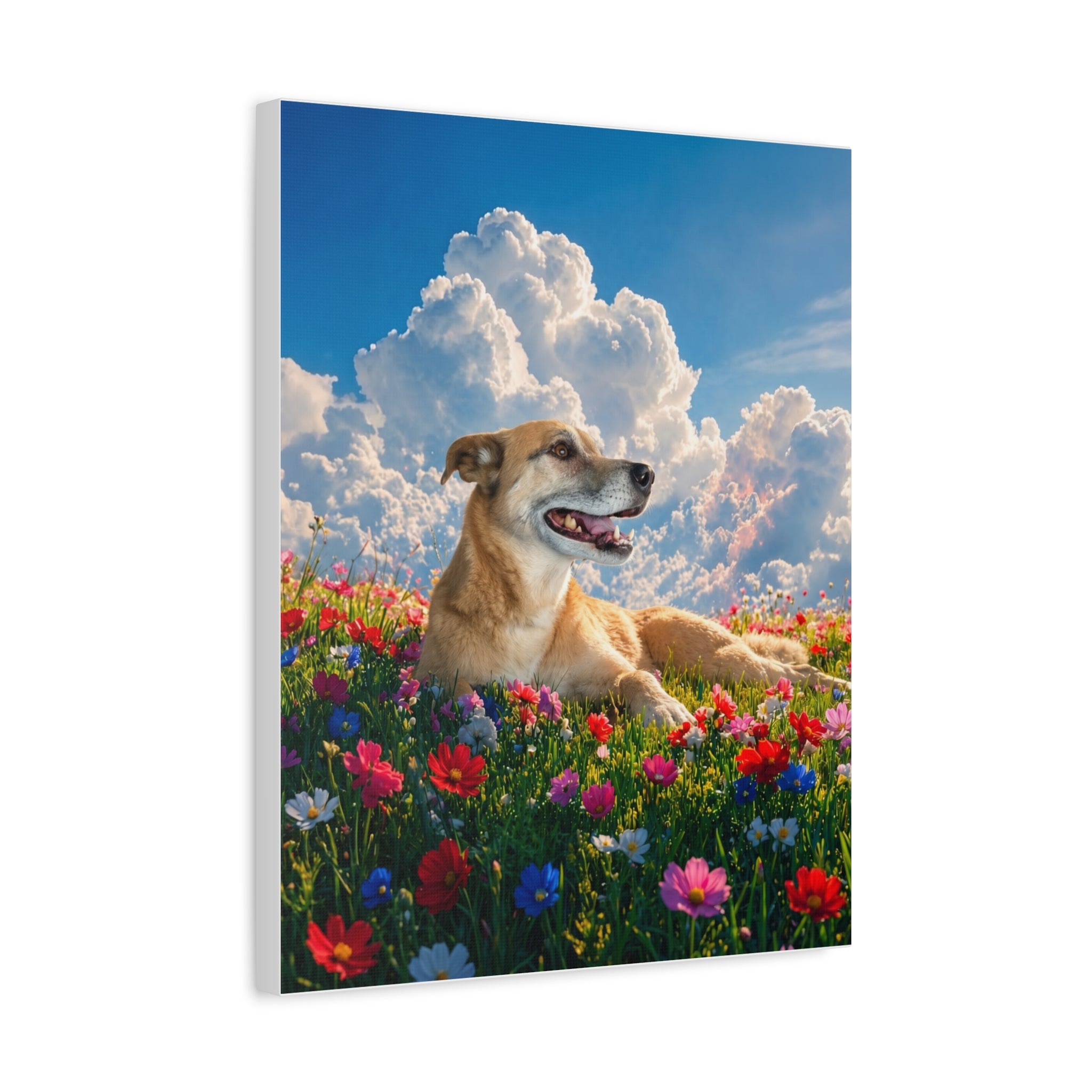 Custom Pet Canvas Print 16x20 - 1776972666945x305068509987864600