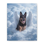 API API Shopify order #1271 (v45689630457958) - Cecil Penney