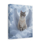 API API Shopify order #1272 (v45690351812710) - Amn Hinkle