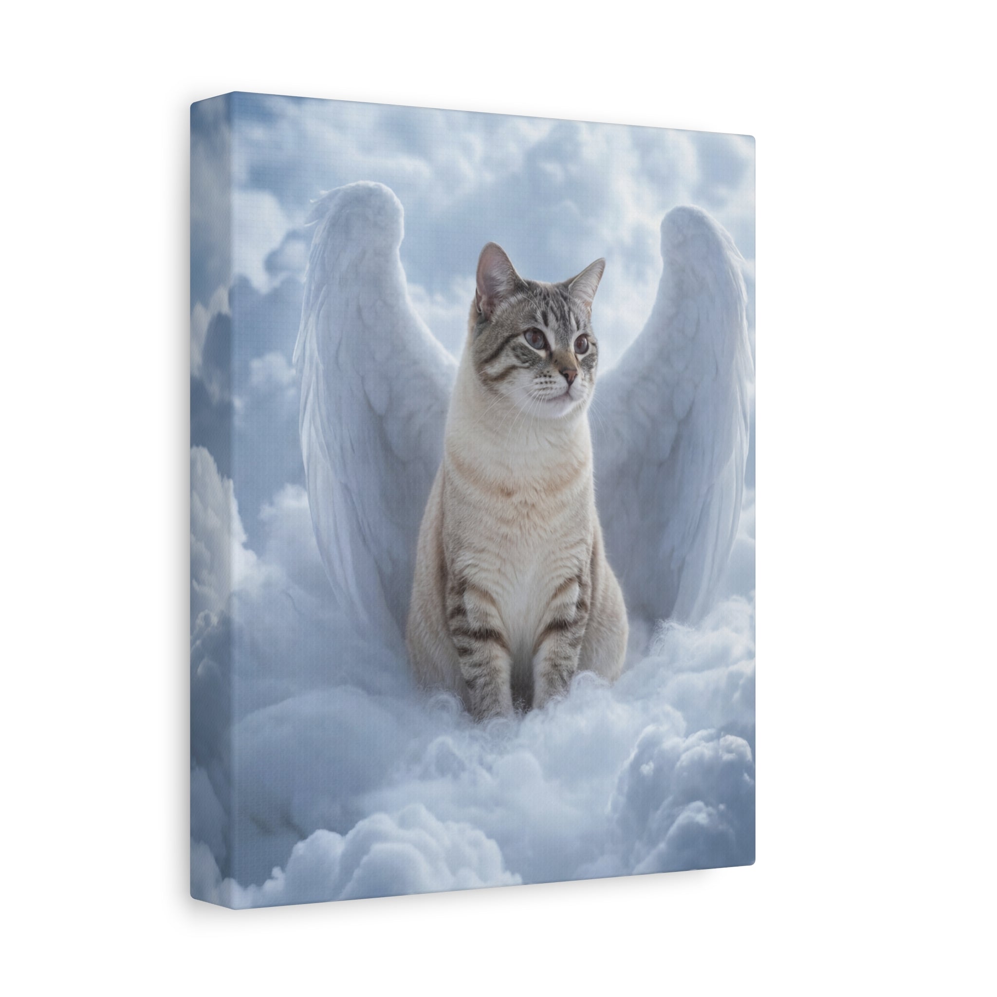 API API Shopify order #1272 (v45690351812710) - Amn Hinkle