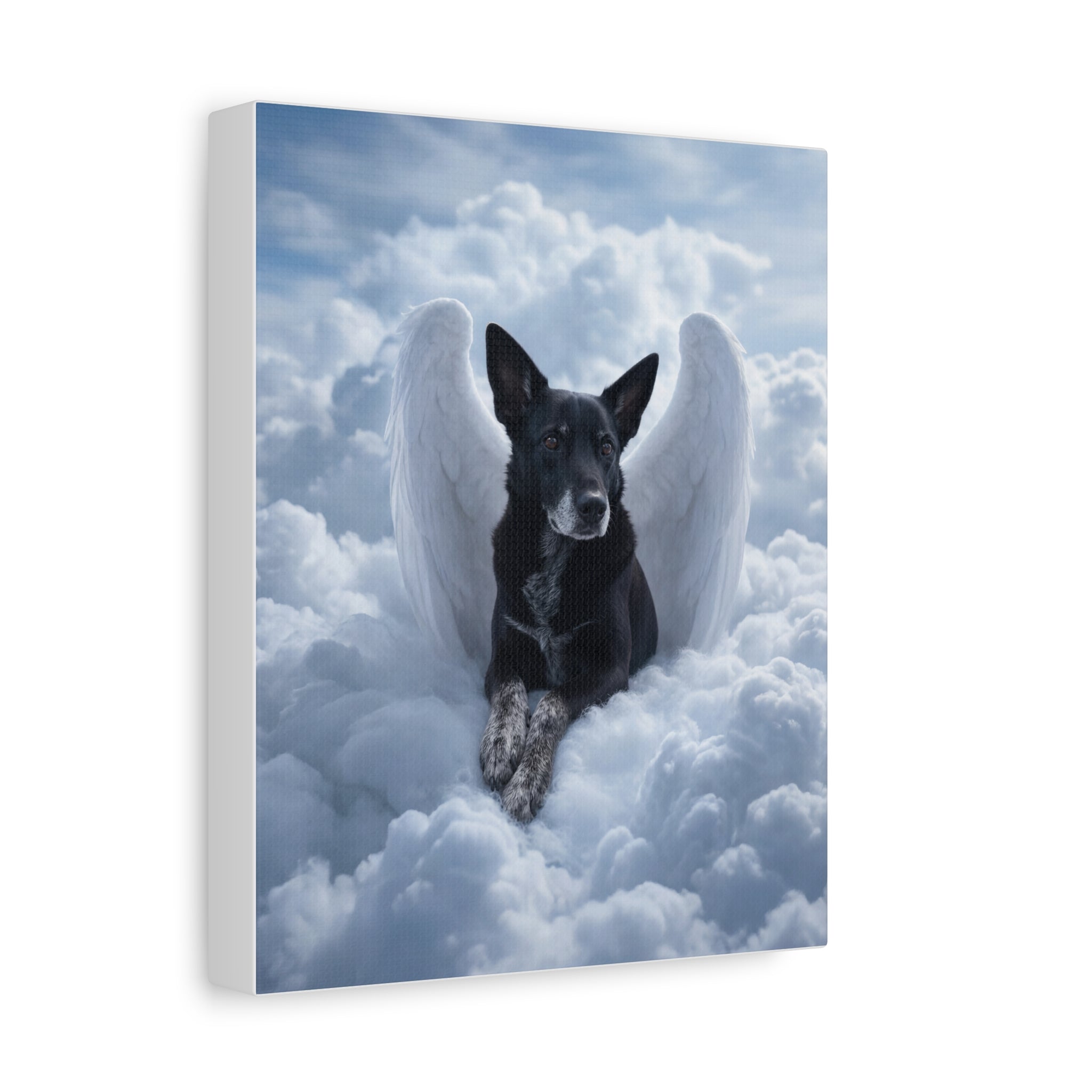 API API Shopify order #1269 (v45681011654758) - Sandi Quarles
