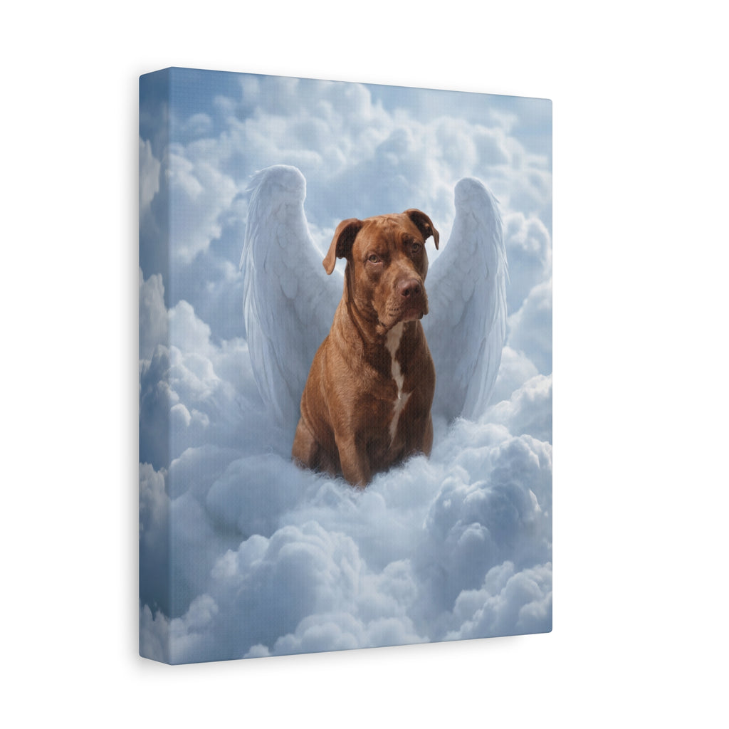 API API Shopify order #1289 (v45716314718310) - Brandy Moffitt