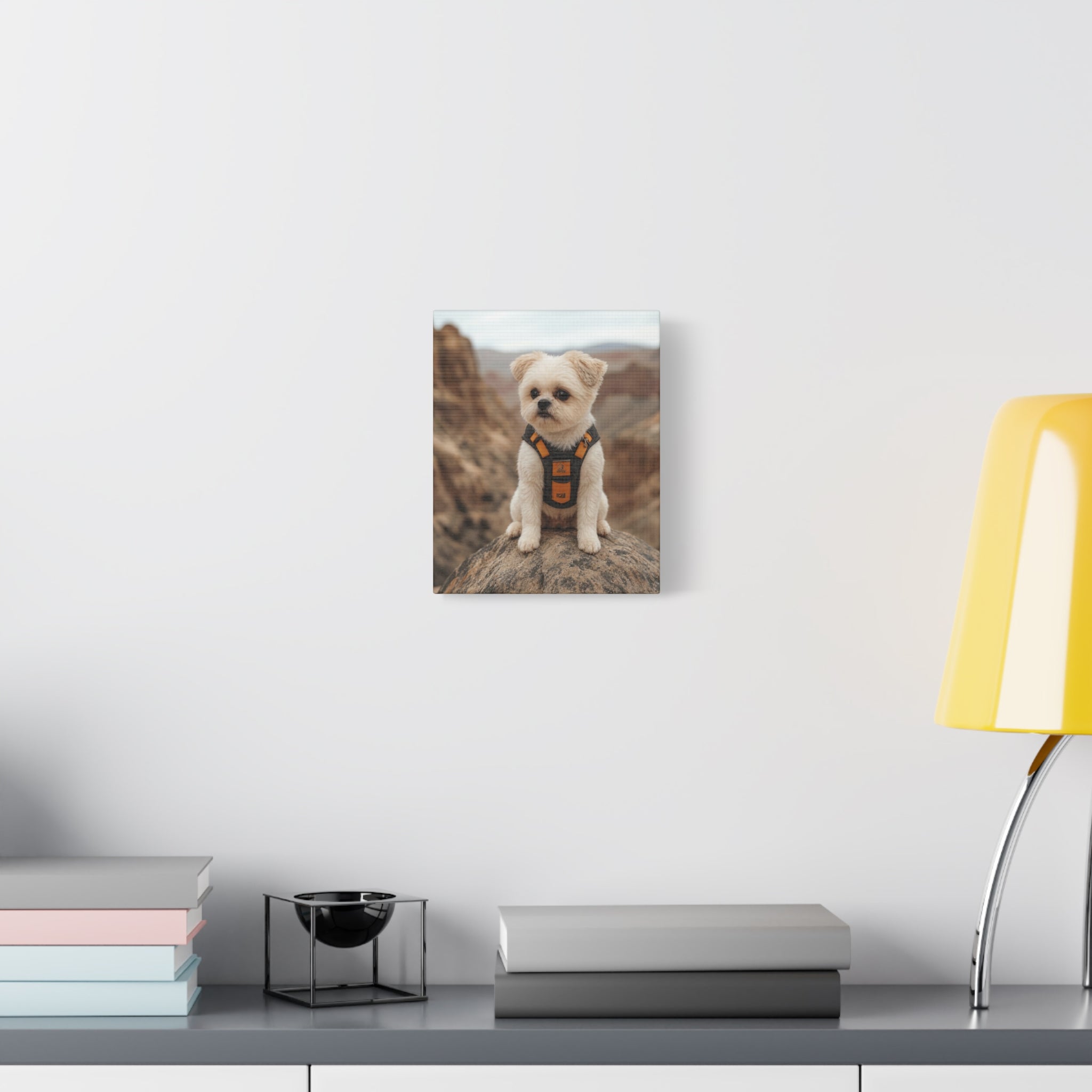 API API Shopify order #1273 (v45695252004966) - Tina Ziehl