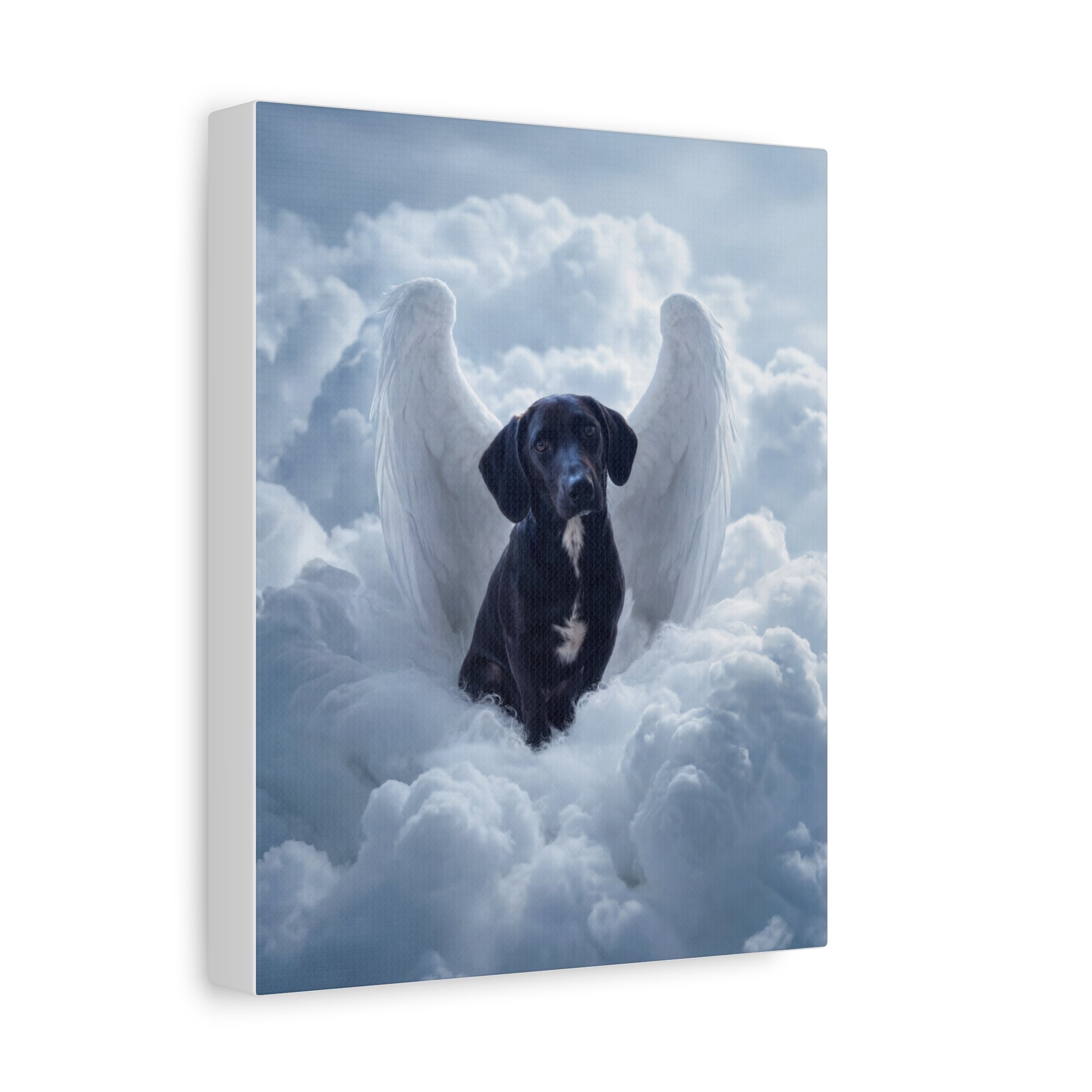 Custom Pet Canvas Print 8x10 - 1777132049095x456498293874360300