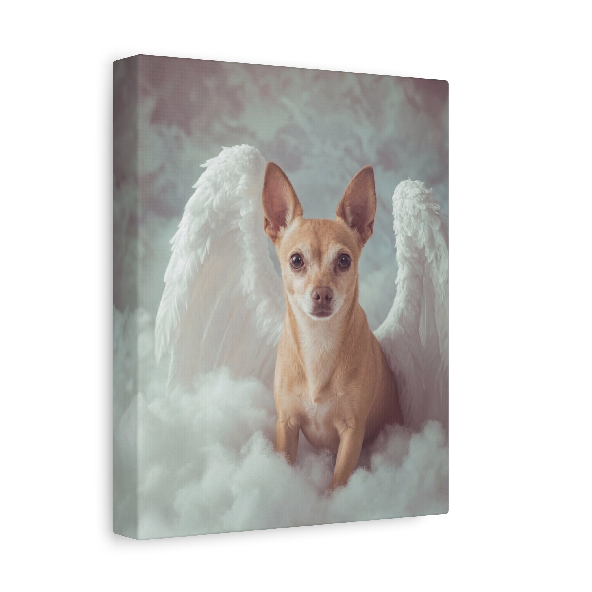 API API Shopify order #1248 - Theresa Wild