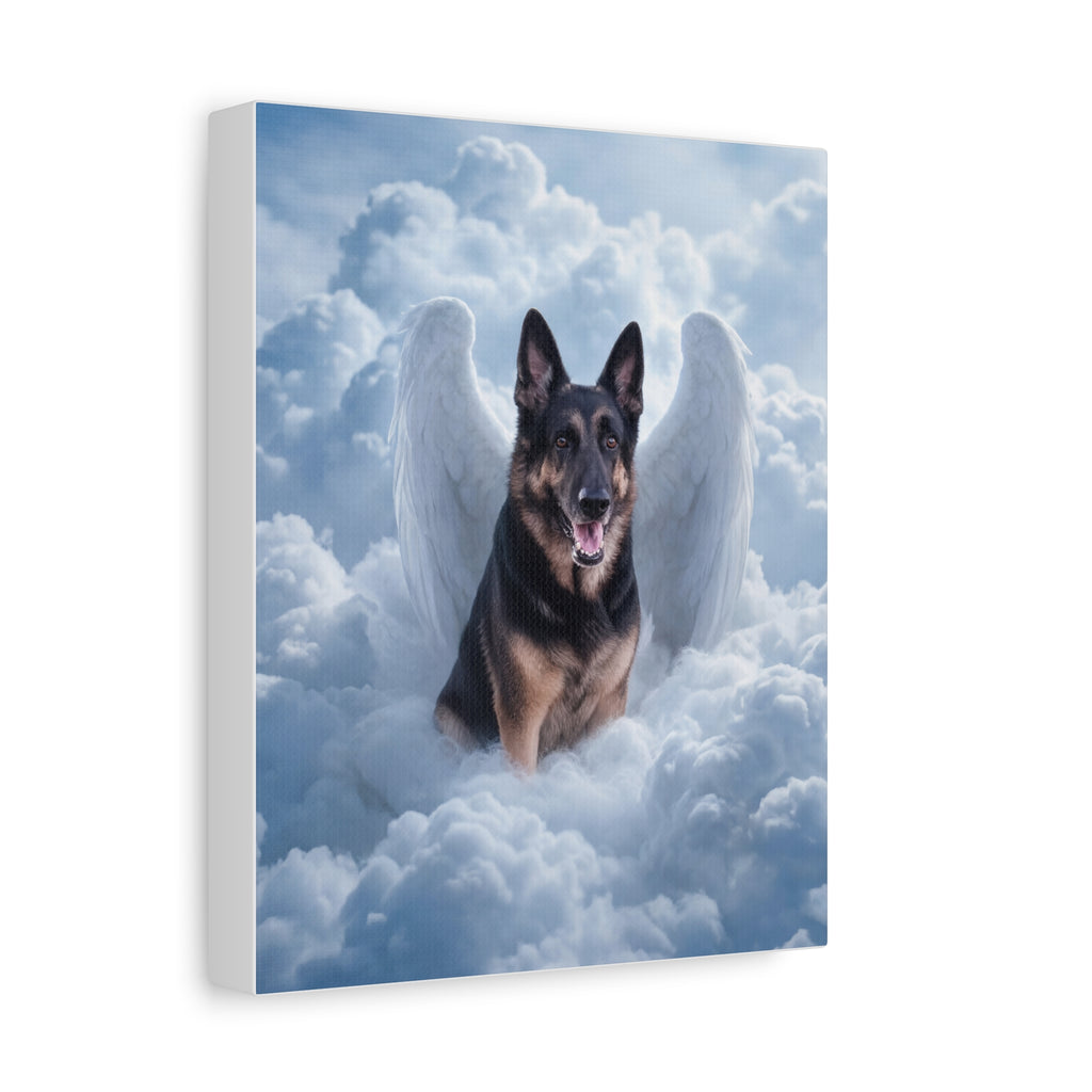 API API Shopify order #1271 (v45689630457958) - Cecil Penney