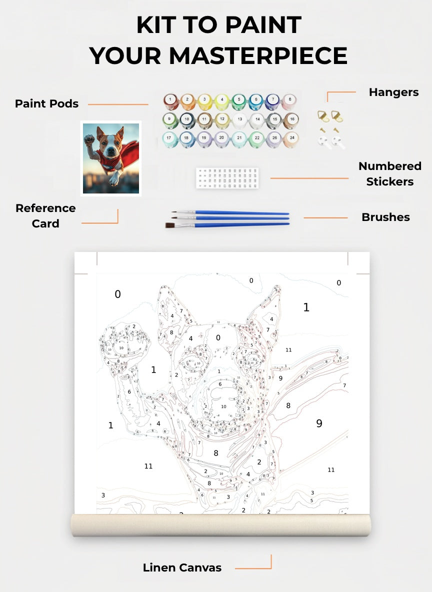 Skybound Hero Paint By Numbers Kit
