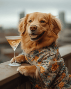 Rooftop Cocktail Hour