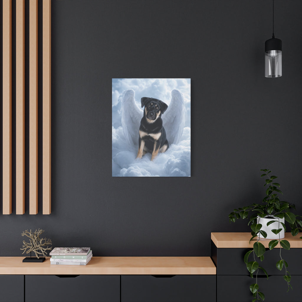 API API Shopify order #1262 - Dawn Lowe