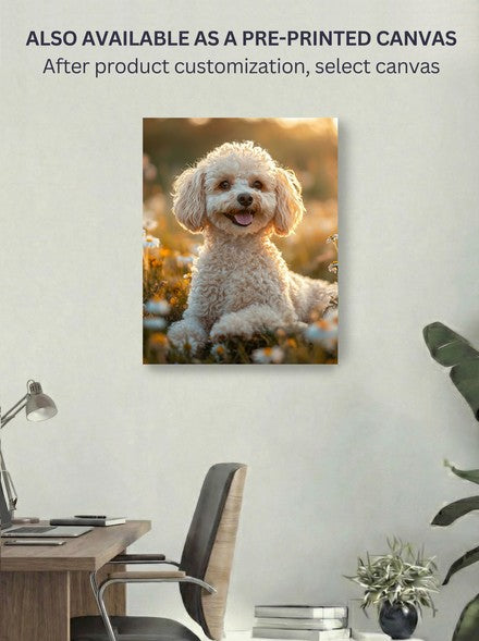 Sunset Daisy Glow