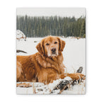API Shopify order #1214 - JoeT ManierT