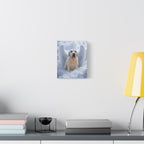 Custom Pet Canvas Print 8x10 - 1777127271873x656457472616693800