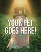 Your Pet Goes Here