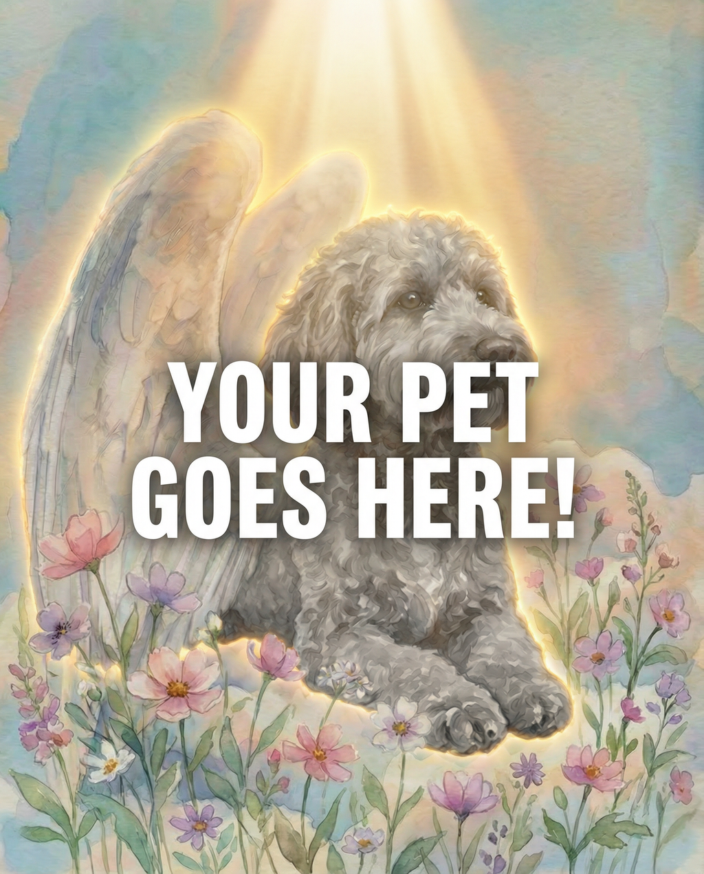 Your Pet Goes Here