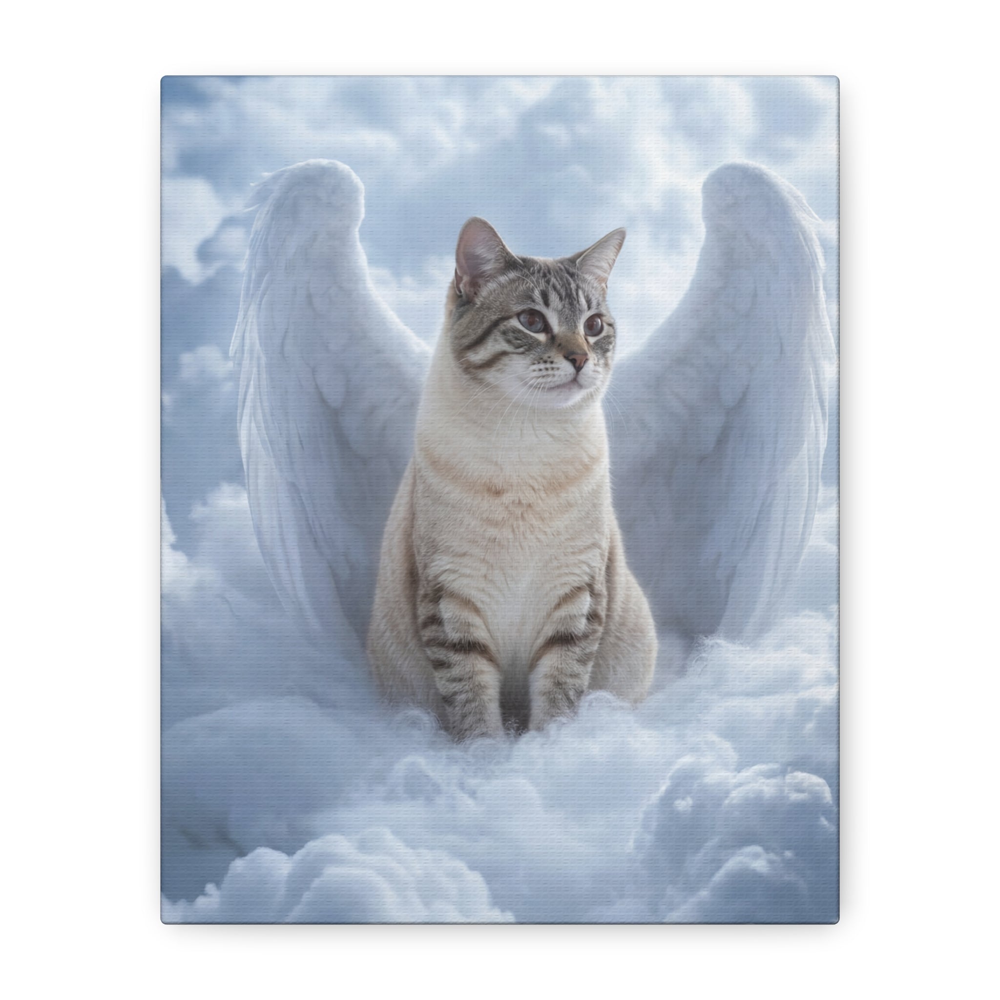API API Shopify order #1272 (v45690351812710) - Amn Hinkle