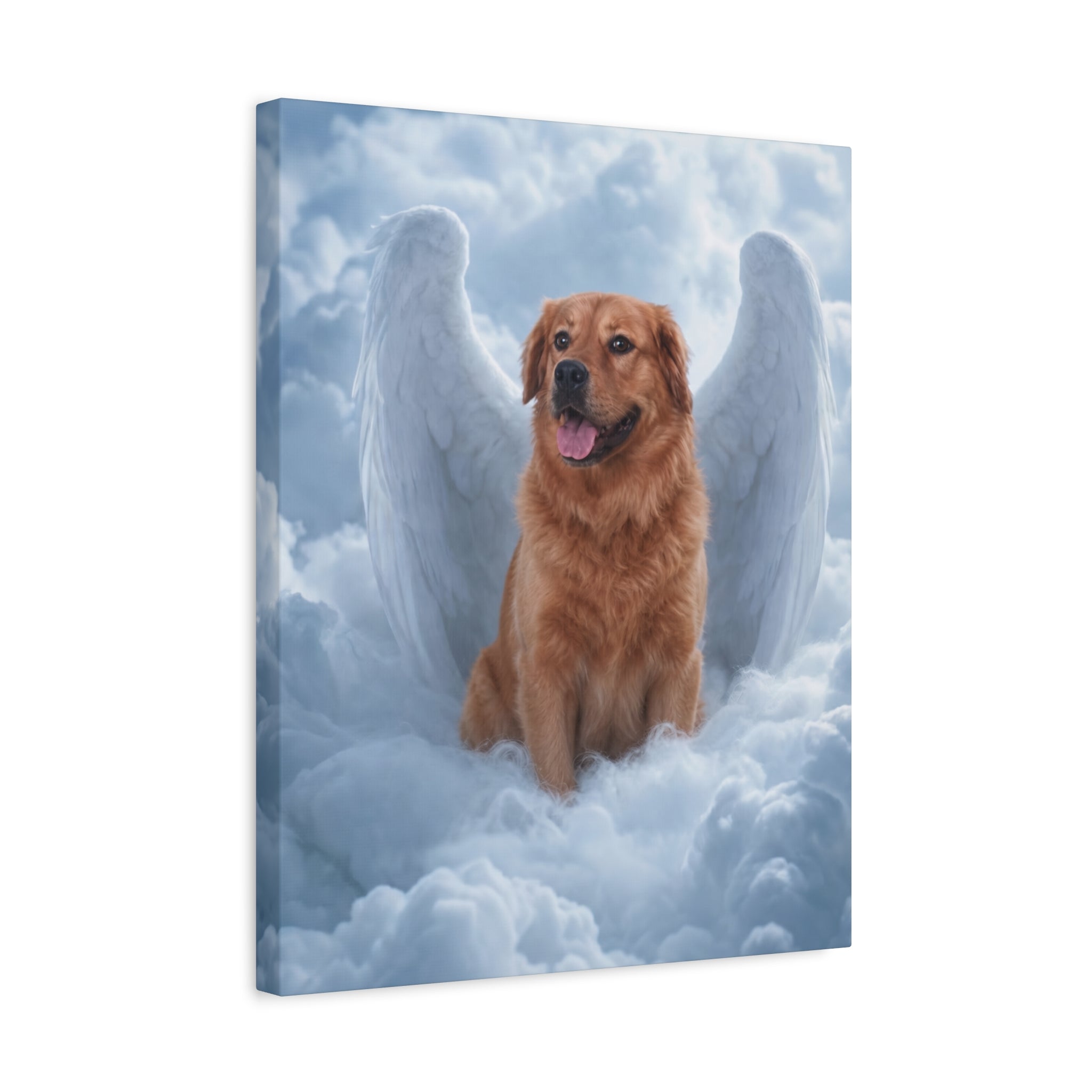 API API Shopify order #1268 (v45677072023654) - Maury Barnes