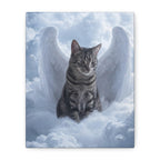 API API Shopify order #1272 (v45677037158502) - Amn Hinkle