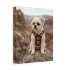 API API Shopify order #1273 (v45695252004966) - Tina Ziehl
