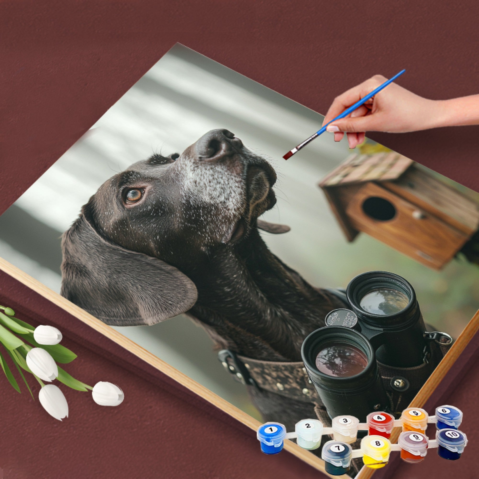 Binocular Birdwatcher