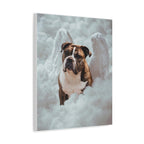Custom Canvas Print 16x20 (2a0e0615)