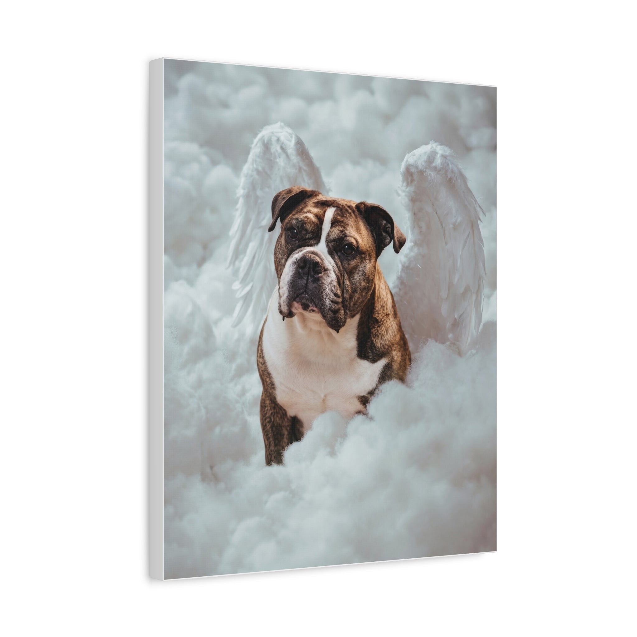 Custom Canvas Print 16x20 (2a0e0615)