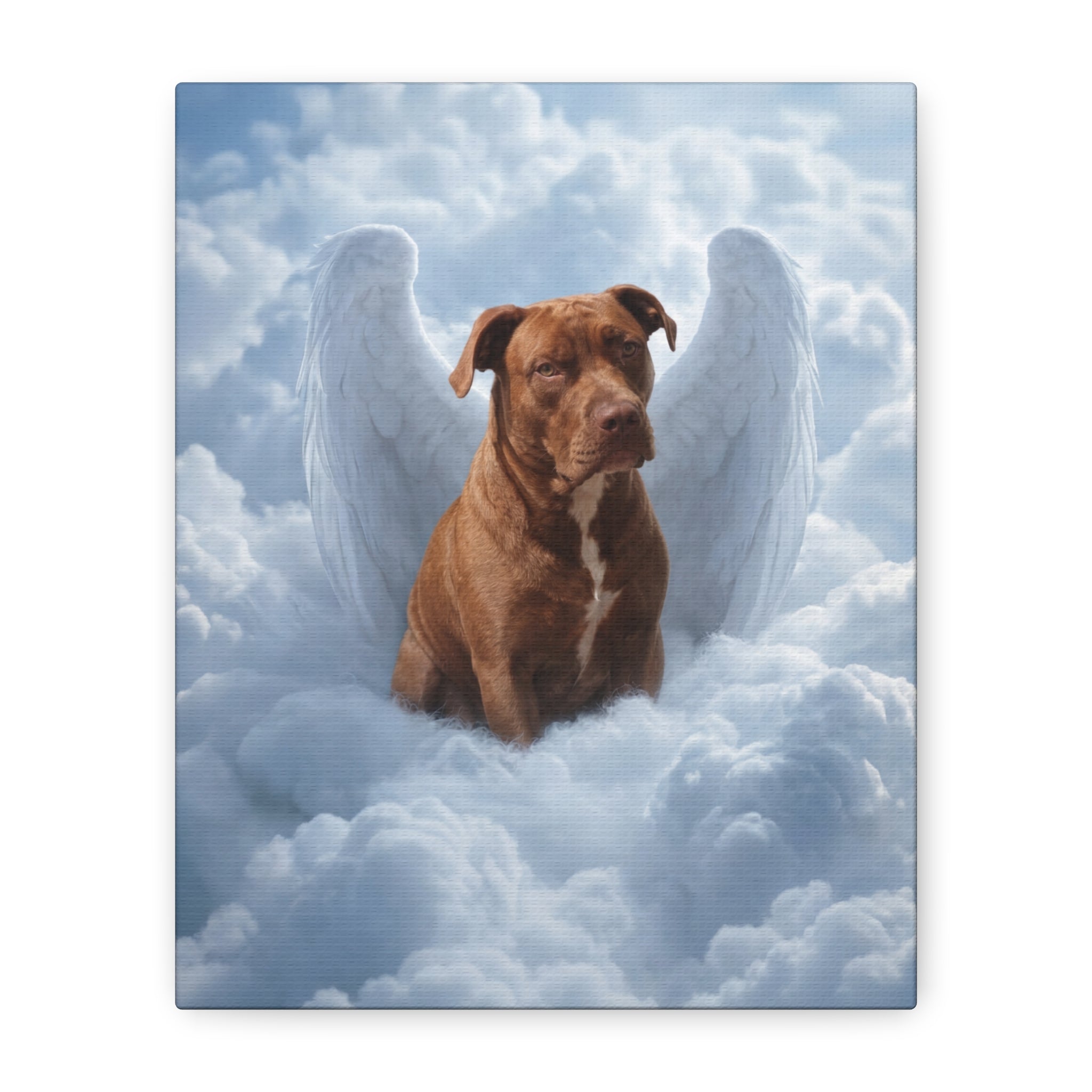 API API Shopify order #1289 (v45716314718310) - Brandy Moffitt