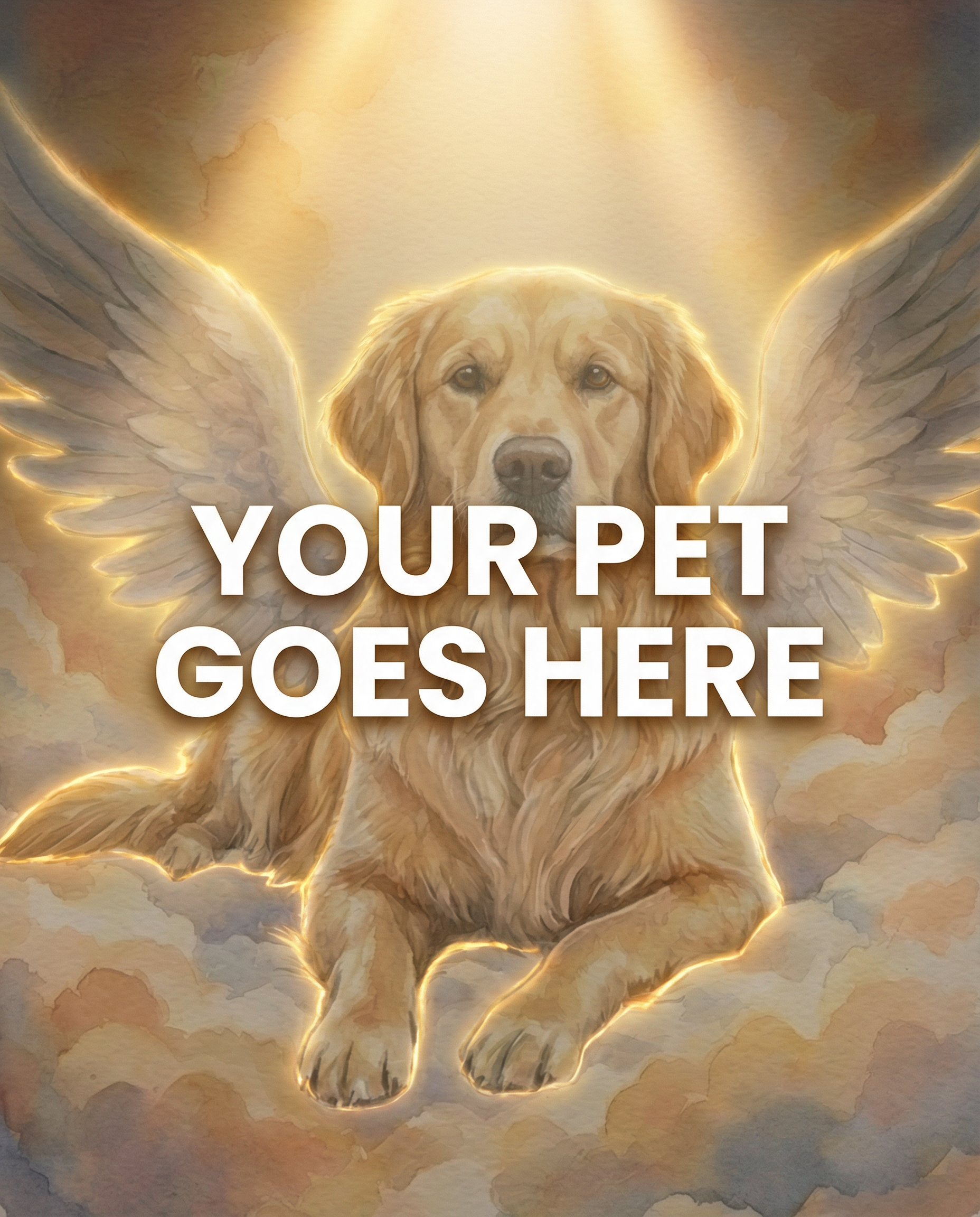 Your Pet Goes Here