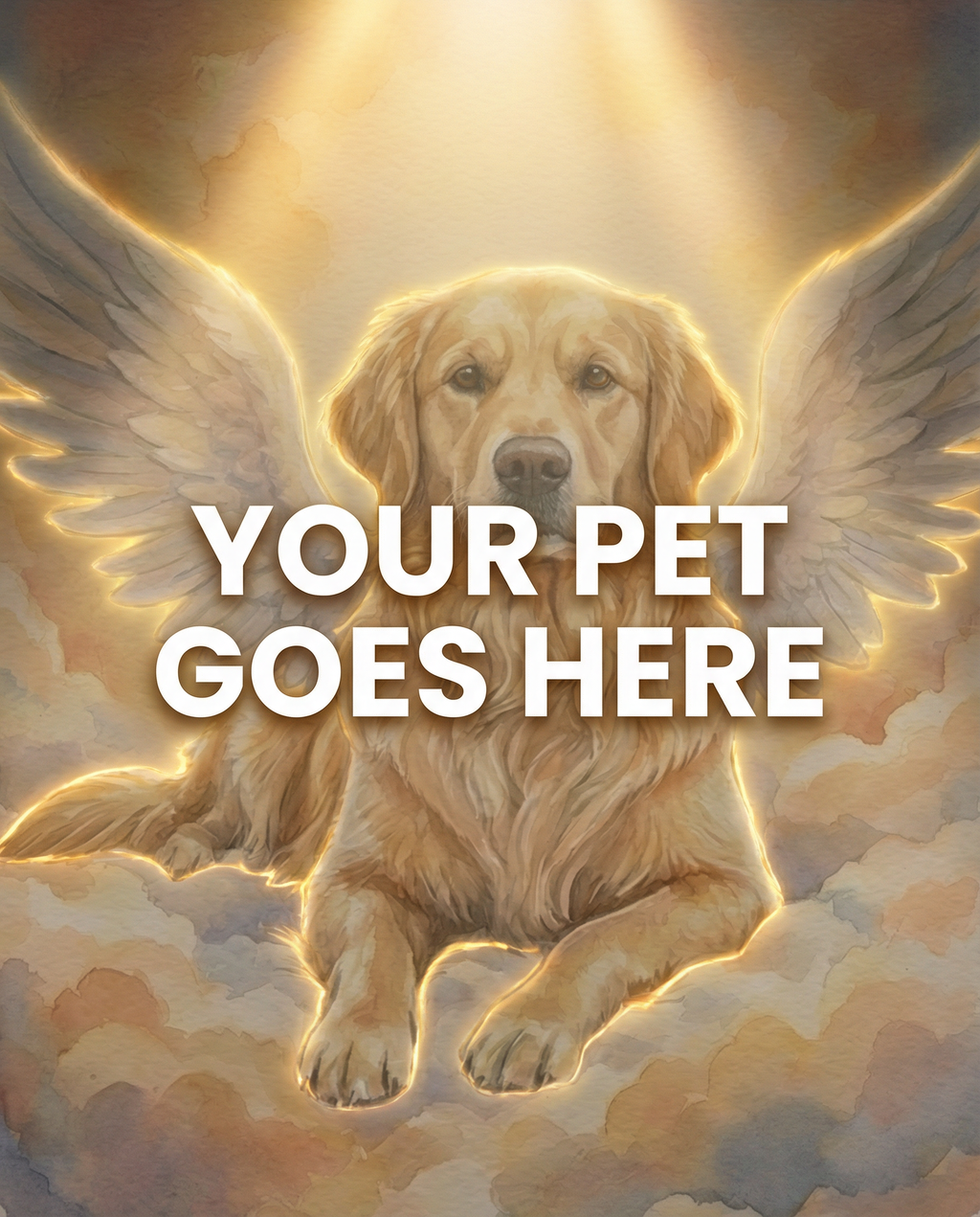 Your Pet Goes Here