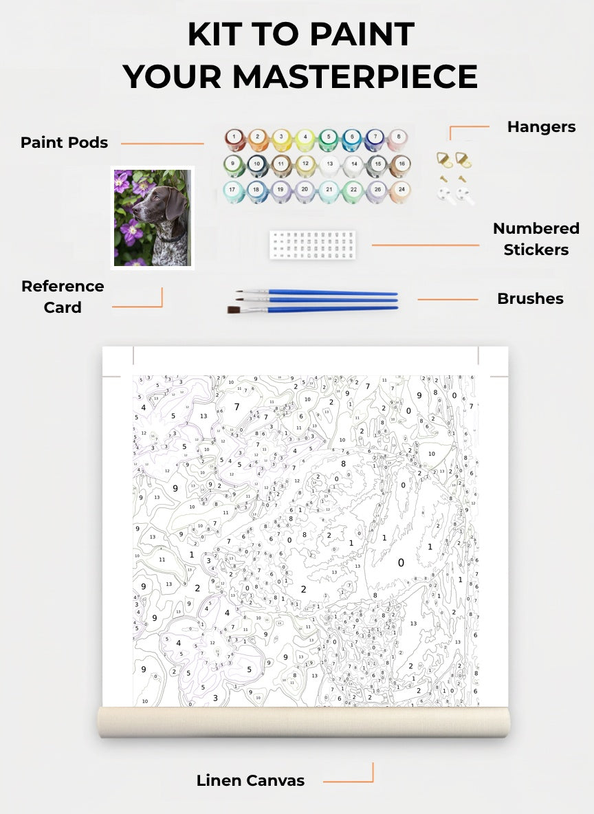 Clematis Garden Gaze