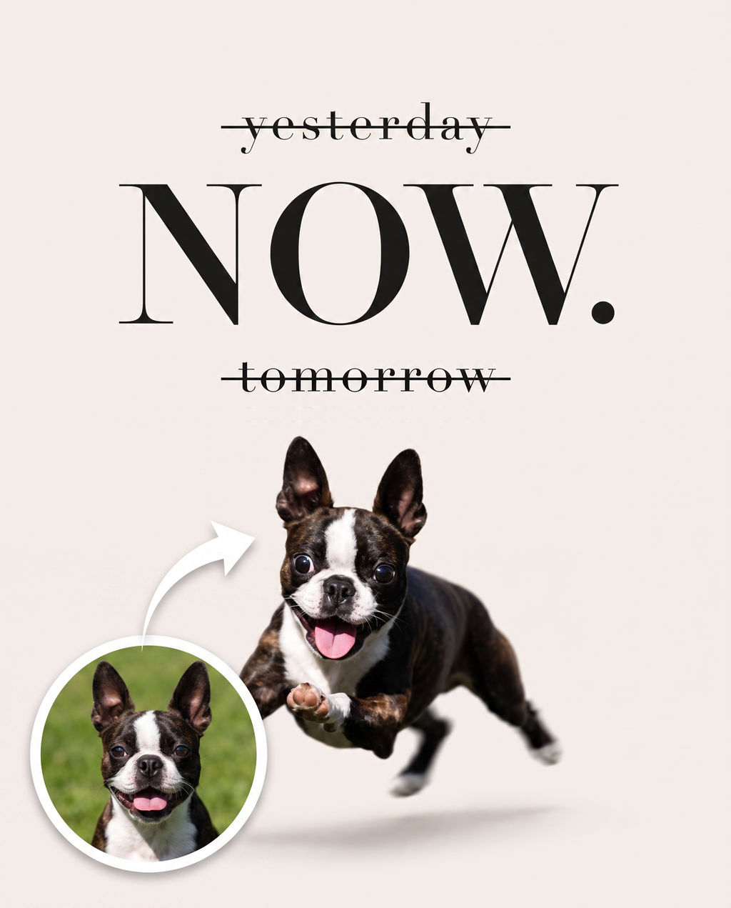 Carpe Diem Custom Canvas Print