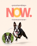 This Is Your Time Custom Canvas Print