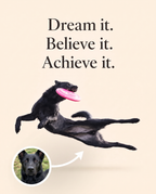 Catch Believe Soar Custom Canvas Print