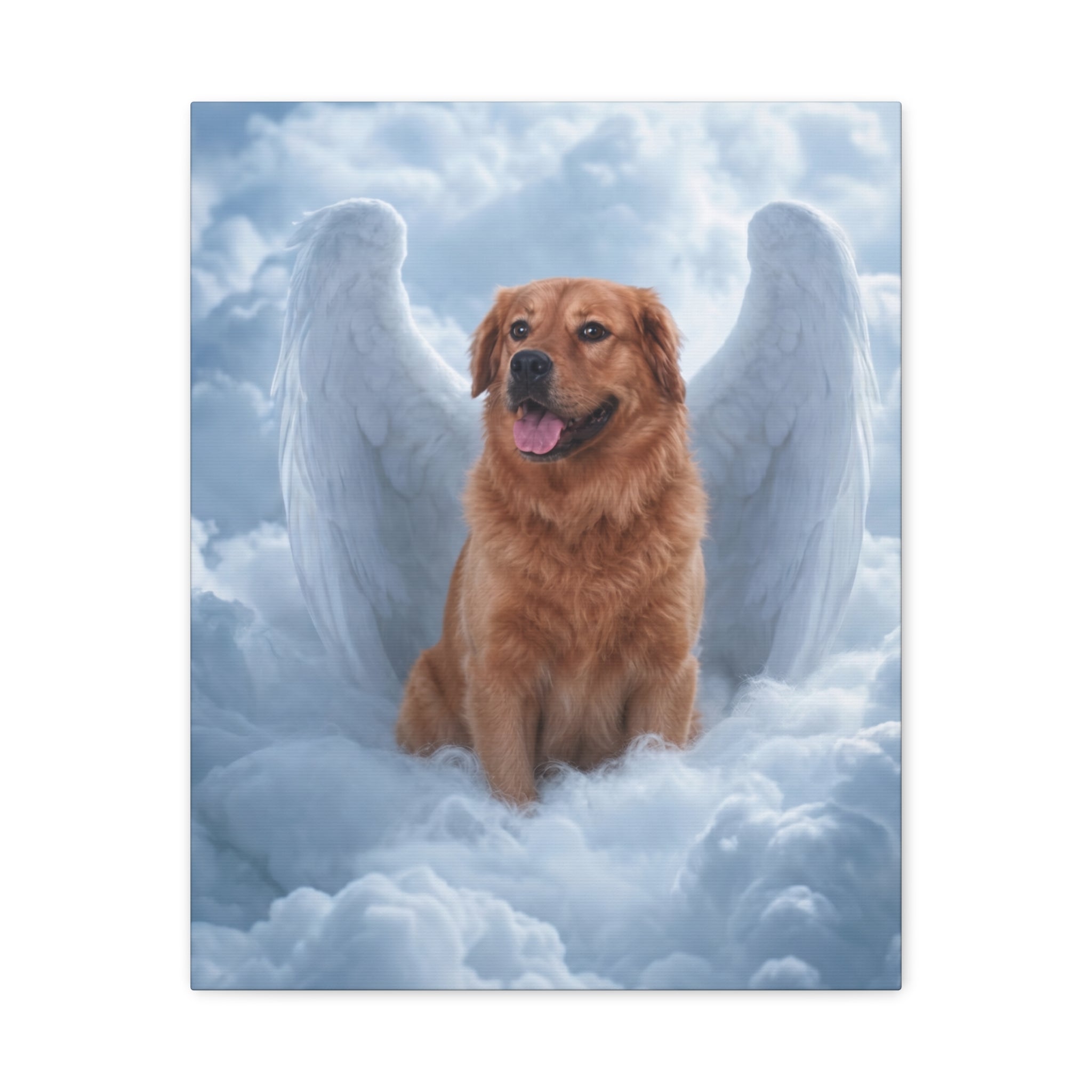 API API Shopify order #1268 (v45677072023654) - Maury Barnes