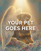 Your Pet Goes Here