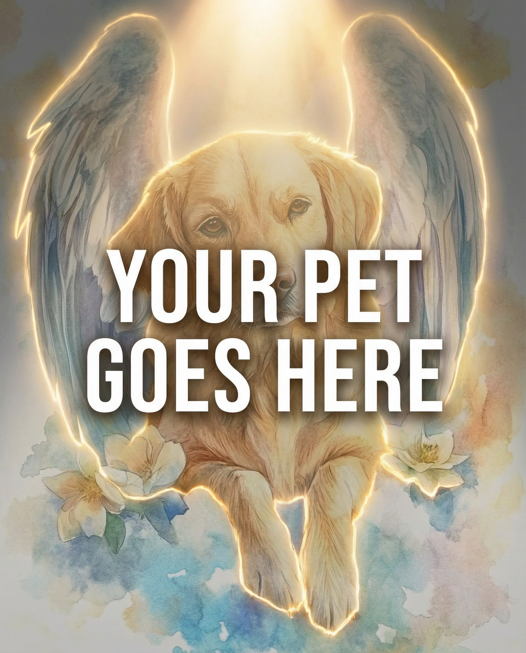 Your Pet Goes Here