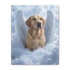 API API Shopify order #1286 (v45713629085798) - Sharon Ellebrecht