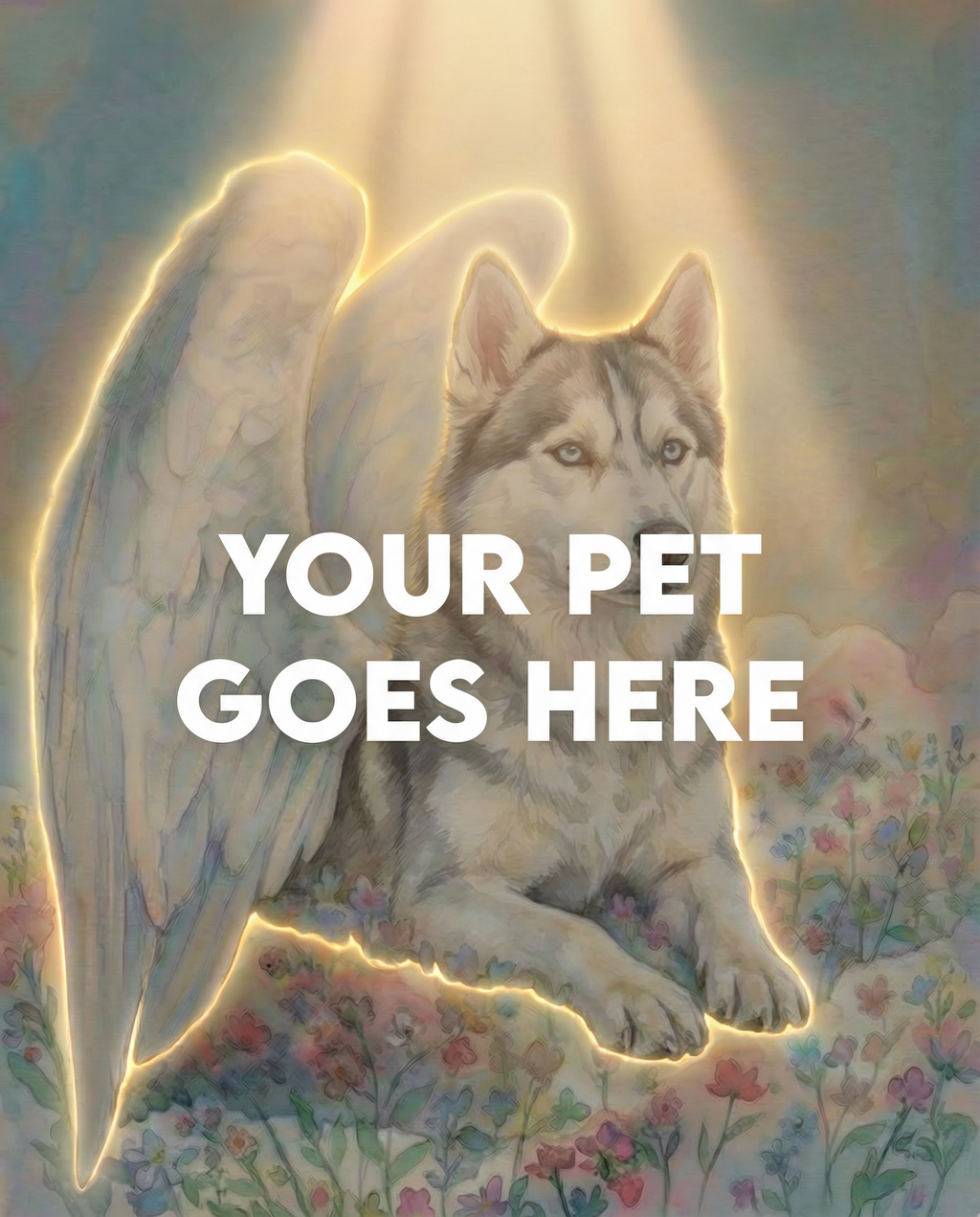 Your Pet Goes Here