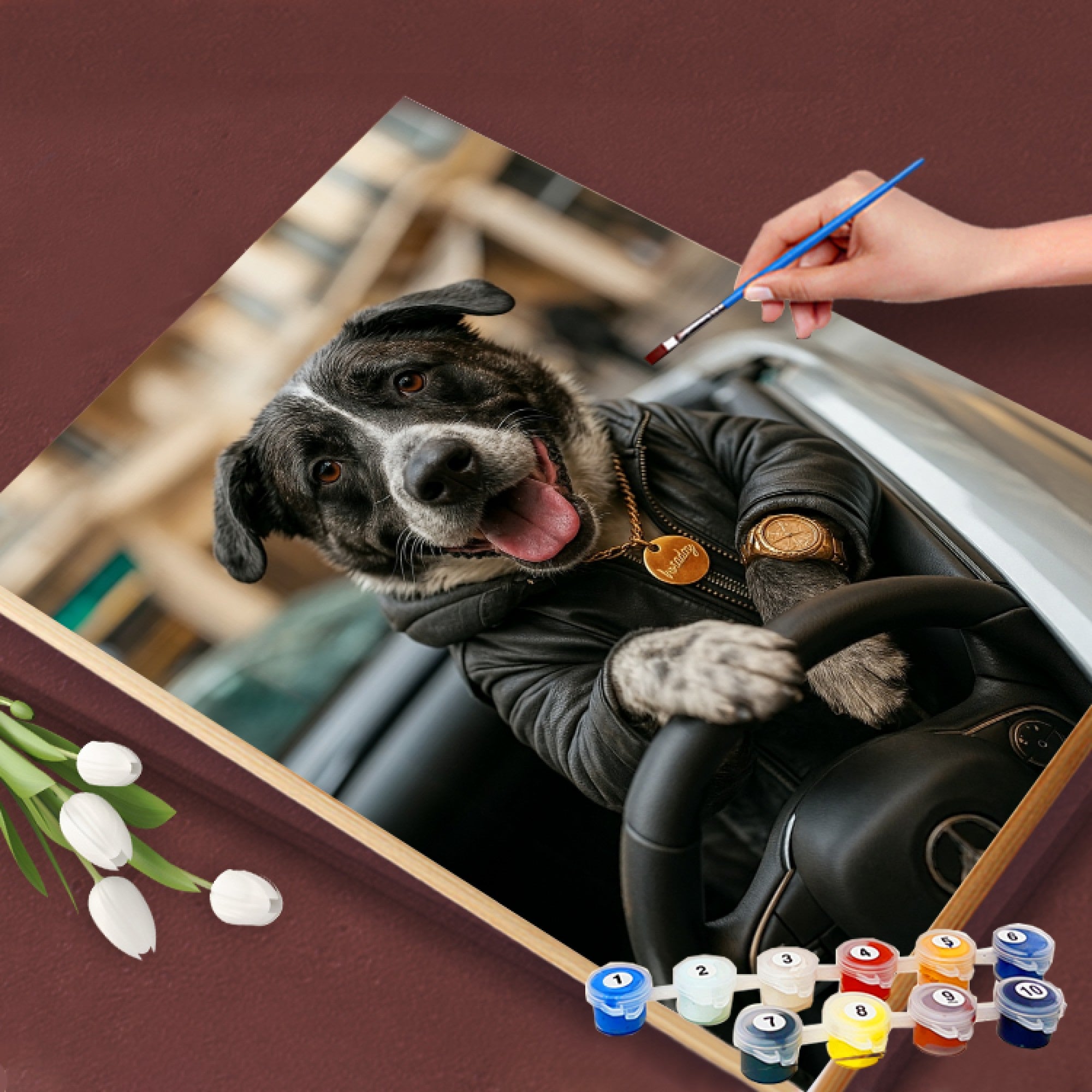 Paris Street Cruiser