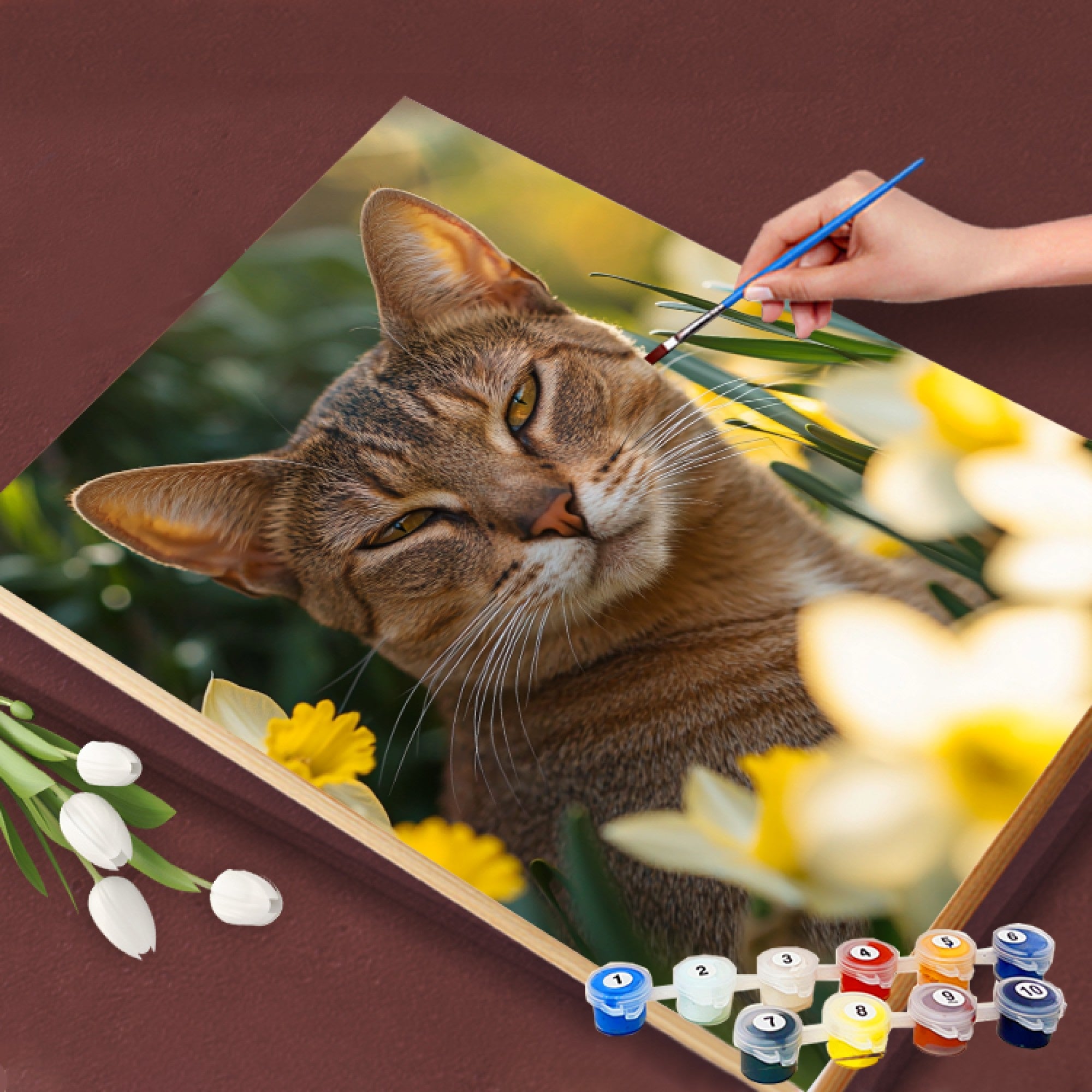 Golden Daffodil Gaze