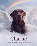 Watching Above Custom Canvas Print
