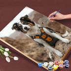 Rocky Trail Explorer