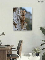 Canvas Print 16x20